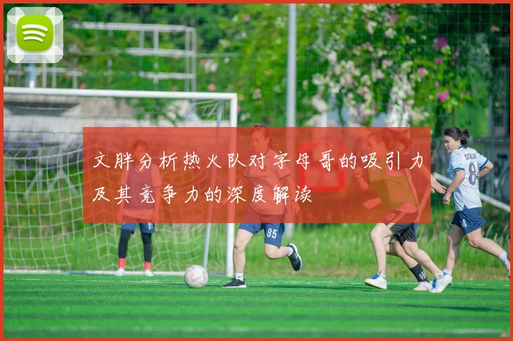 文胖分析热火队对字母哥的吸引力及其竞争力的深度解读