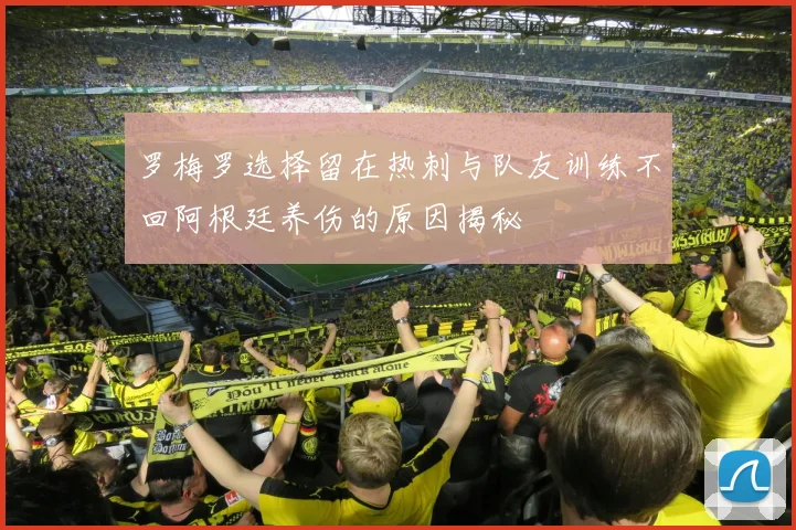 罗梅罗选择留在热刺与队友训练不回阿根廷养伤的原因揭秘